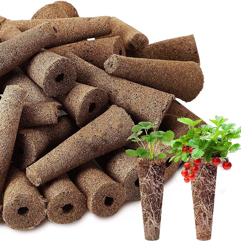 Food Storage Plants - 100 Stuks Zaadkweeksponzen Vervangen Wortelgroeisponzen Zaailing