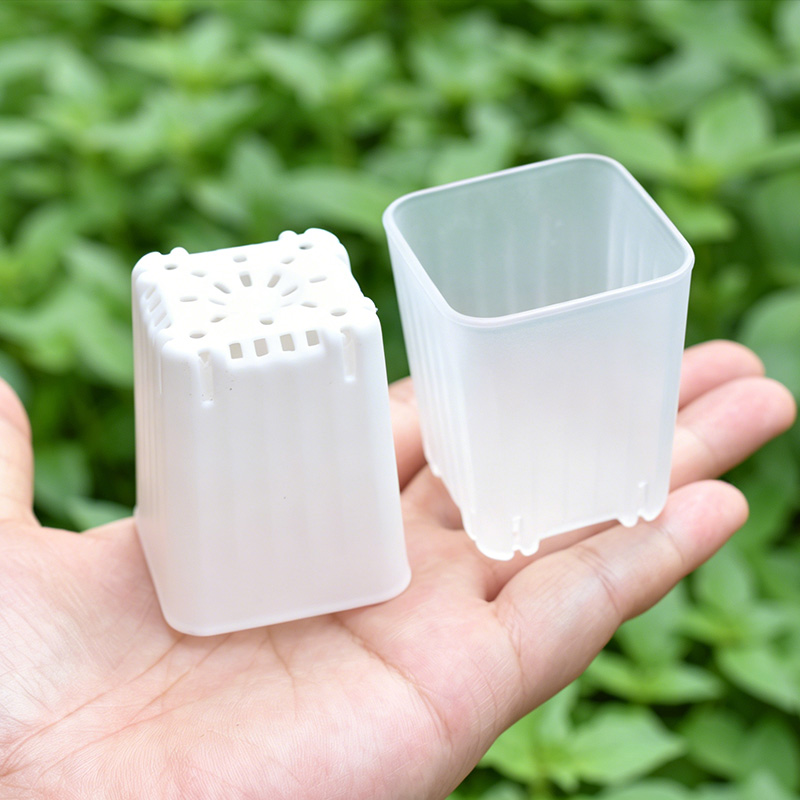 Food Storage Plants - 50-100 Stuks 4 Cm Mini Dikker