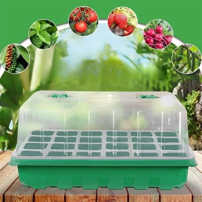 Food Storage Plants - 1/5-delige zaaitrayset - 24-cellige kweekbak met