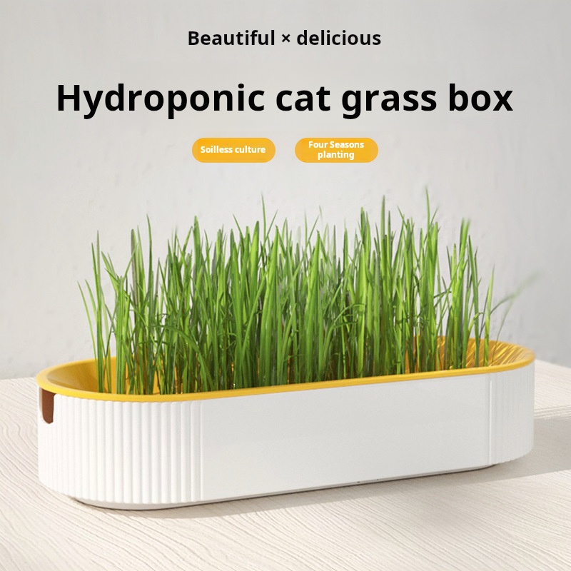 Eenvoudige kweek hydroponische - Food Storage Plants recensie en prijs