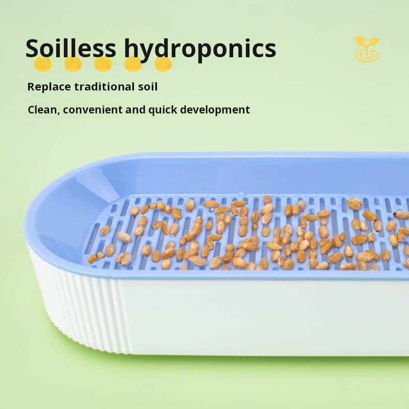 Eenvoudige kweek hydroponische - Food Storage Plants recensie en prijs