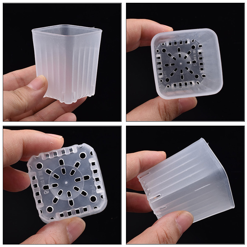 50-100 Stuks 4 Cm Mini Dikker  - Food Storage Plants recensie en prijs