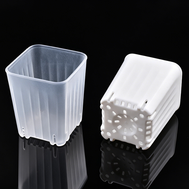 50-100 Stuks 4 Cm Mini Dikker  - Food Storage Plants recensie en prijs