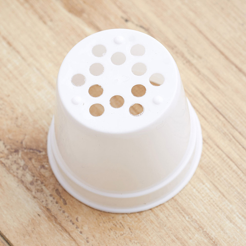 10/20 Stuks Ronde Plastic Bloe - Food Storage Plants recensie en prijs