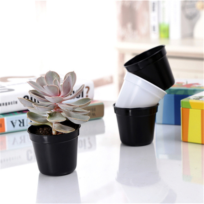 10/20 Stuks Ronde Plastic Bloe - Food Storage Plants recensie en prijs
