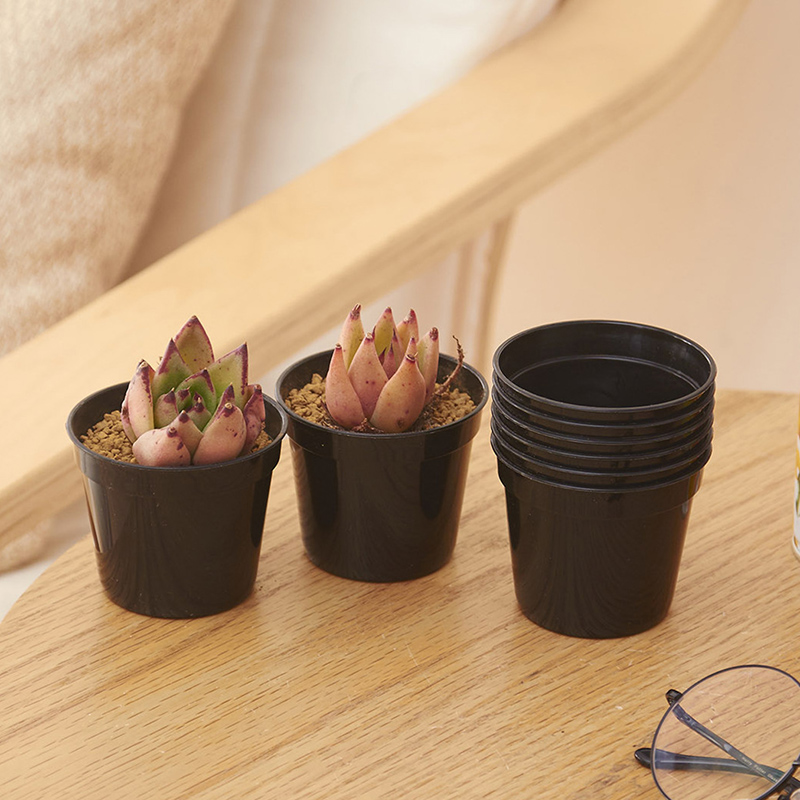 10/20 Stuks Ronde Plastic Bloe - Food Storage Plants recensie en prijs