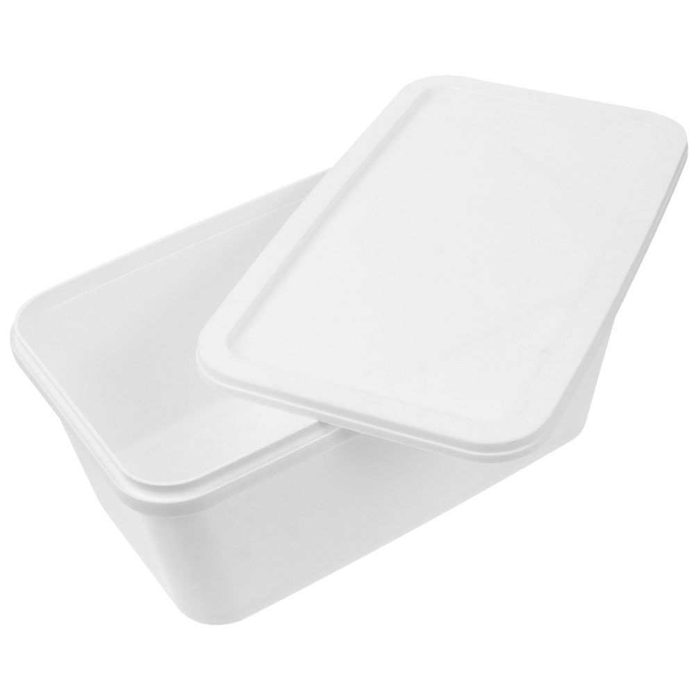 IJsopbergdoos 3L Professionele - Food Storage Containers Plastic Box recensie en prijs