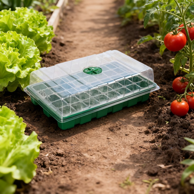1/5-delige zaaitrayset - 24-ce - Food Storage Plants recensie en prijs