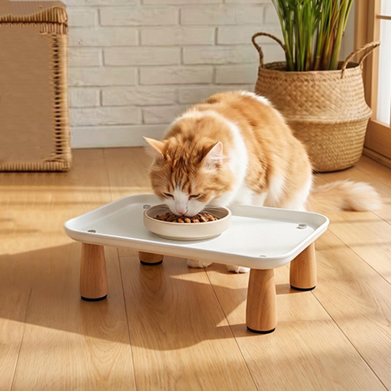 Kattenvoerstandaard met antisl - Food Storage Room recensie en prijs