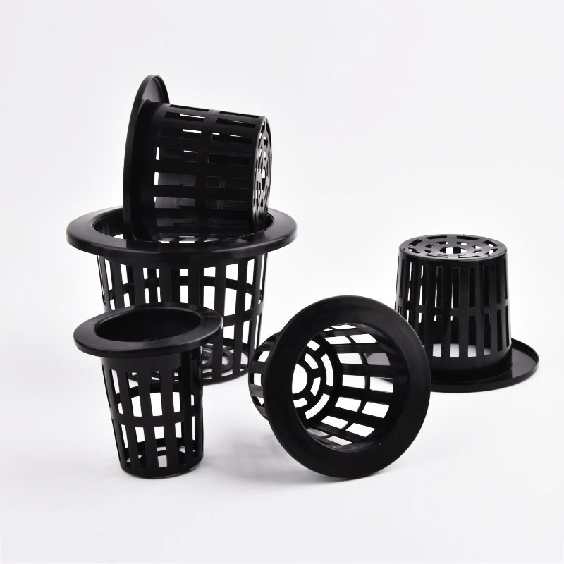 50 Stuks Zwart Wit Grondloze M - Food Storage Plants recensie en prijs