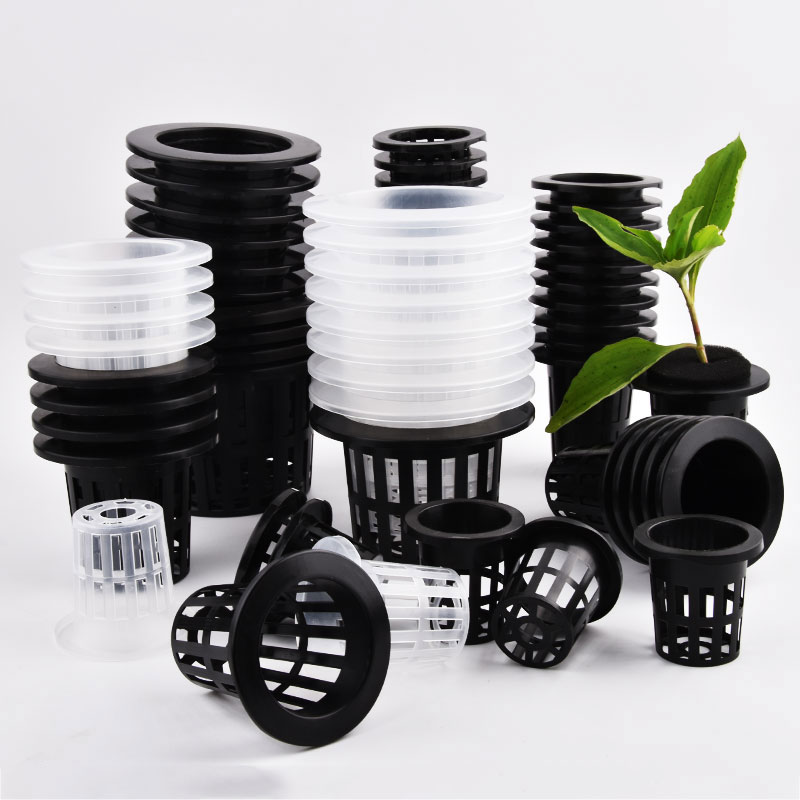 50 Stuks Zwart Wit Grondloze M - Food Storage Plants recensie en prijs