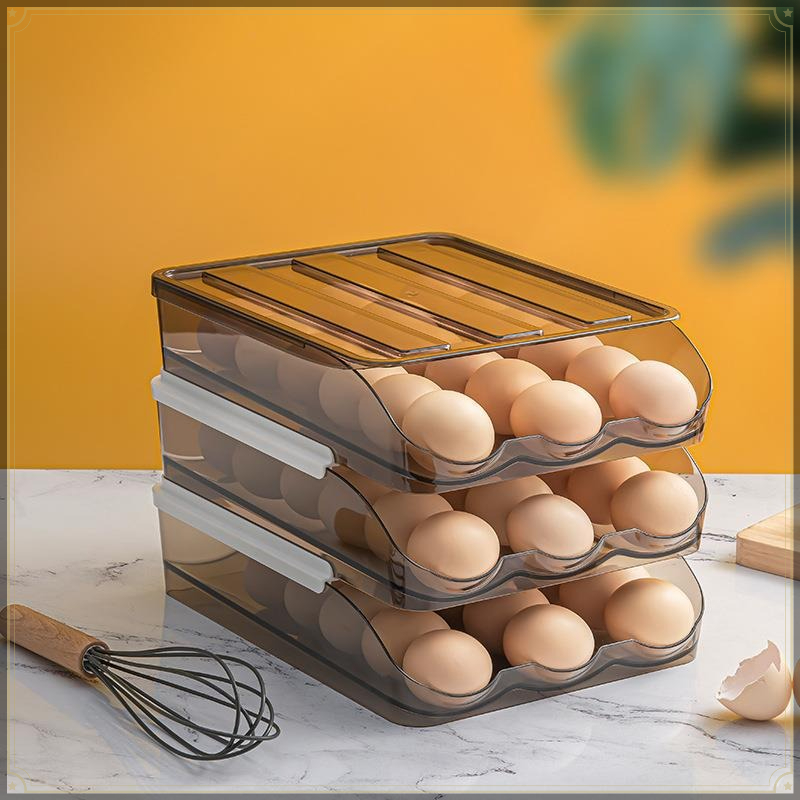 Rolbare eieropbergdoos PET sta - Egg Storage Holder recensie en prijs