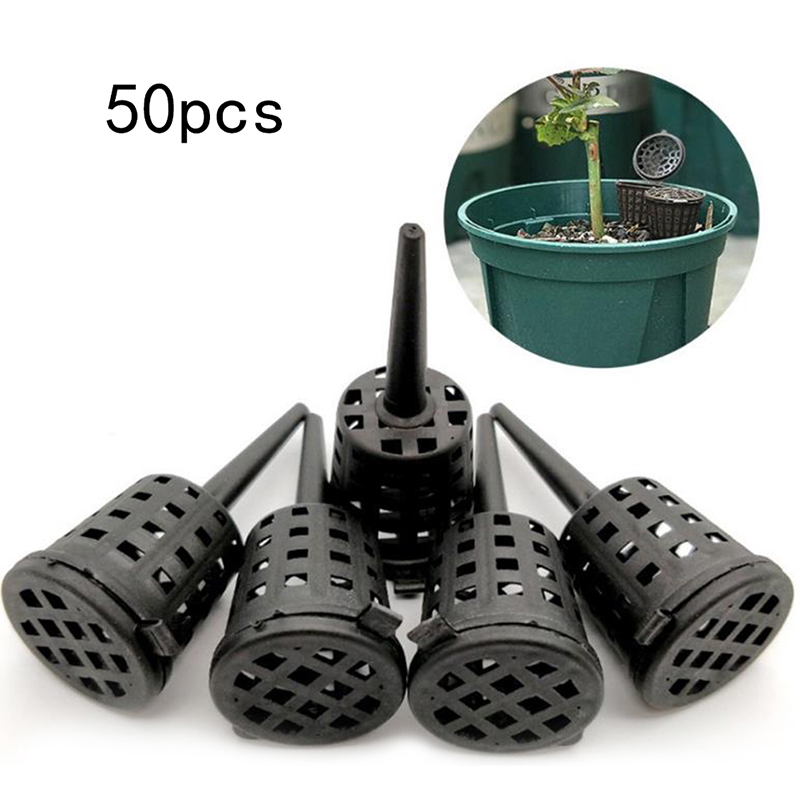 50 Stks/pak Planten Kunstmestm - Food Storage Plants recensie en prijs